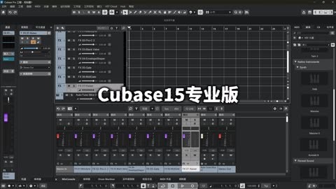 cubase苹果版(cubase ios版)-第5张图片-QuickQ官网 cubase苹果版(cubase ios版)-第5张图片-QuickQ官网