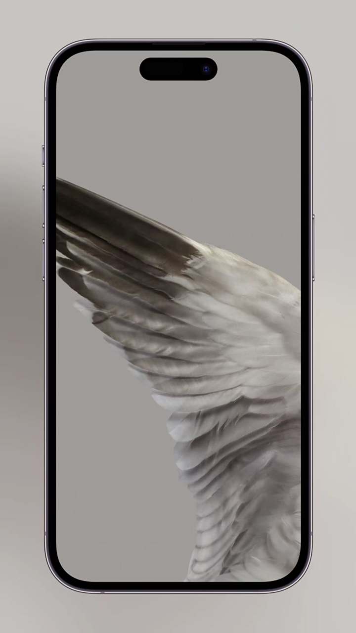 手机chrome使用桌面版(chrome 手机 桌面模式)-第5张图片-QuickQ官网