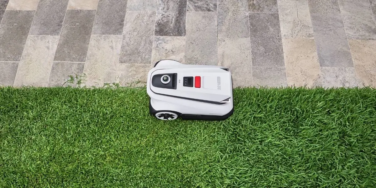 grassclean苹果版(和平精英grassclean)-第4张图片-QuickQ官网