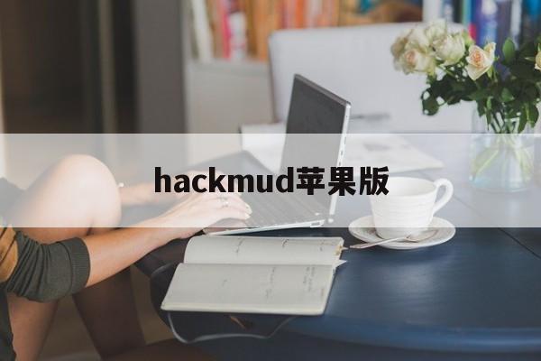 hackmud苹果版(hacktnageme下载手机版)