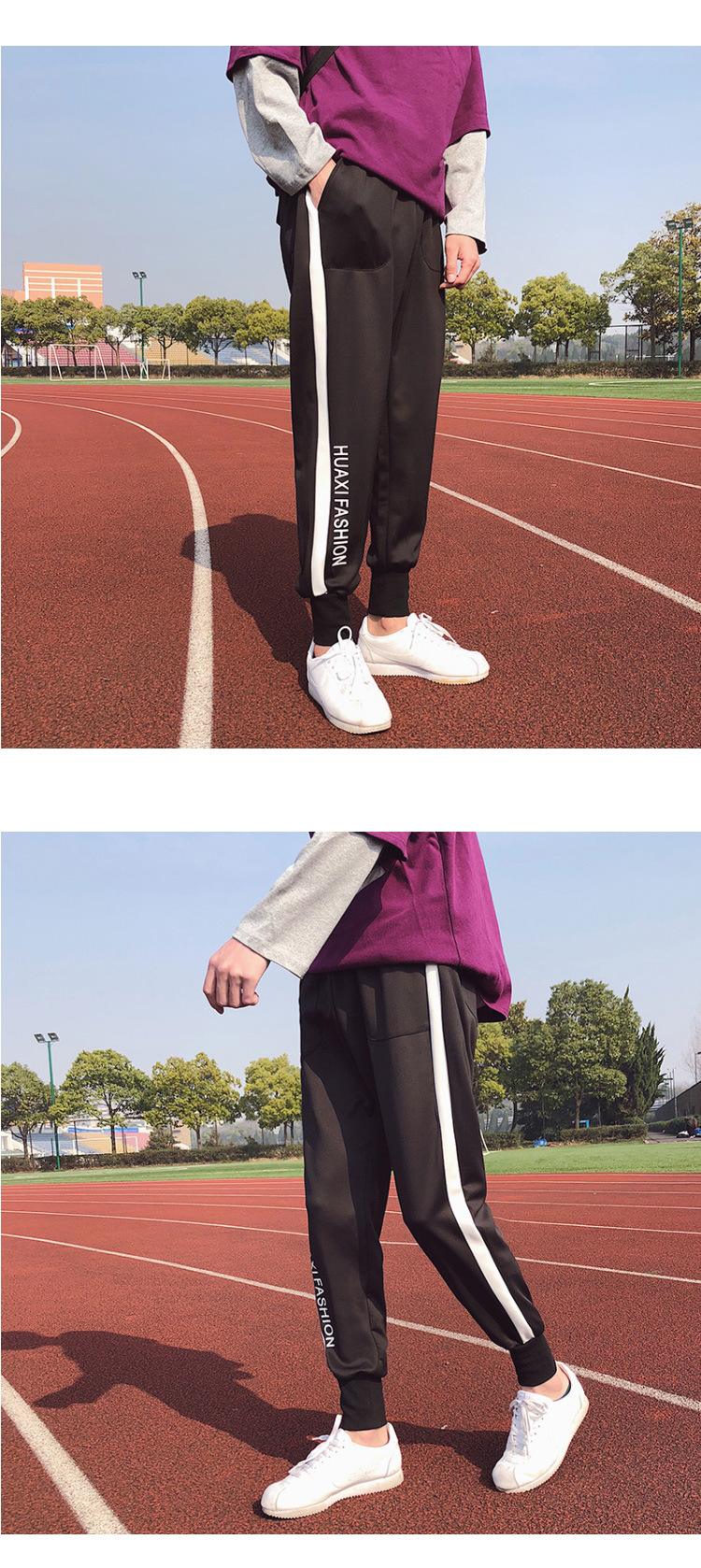 dsa苹果版(ds download ios)