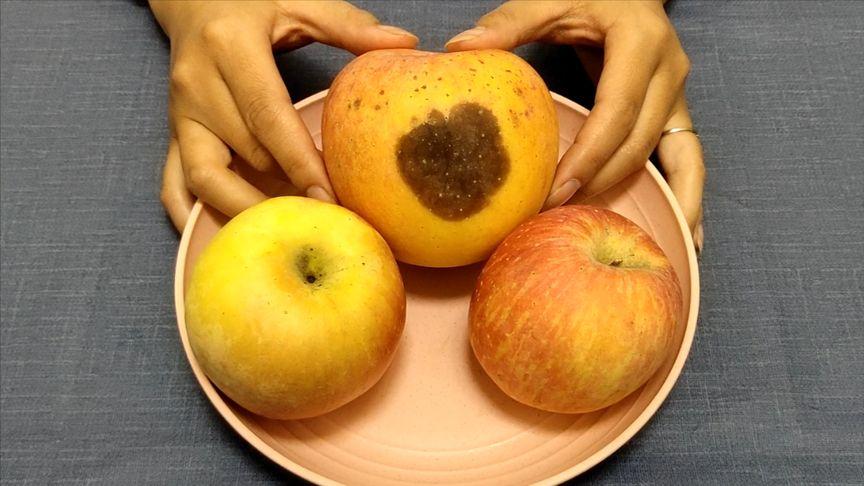 小苹果版的烂苹果(小苹果丧心病狂)-第2张图片-QuickQ官网