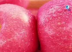 顷刻苹果版(清咳平喘颗粒有消炎的作用吗)-第5张图片-QuickQ官网