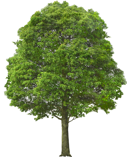 sketchup有手机版的吗(sketchup手机安卓版可以用吗)-第5张图片-QuickQ官网