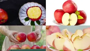 partying苹果版(partying15下载)-第2张图片-QuickQ官网