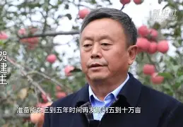 partying苹果版(partying15下载)-第5张图片-QuickQ官网